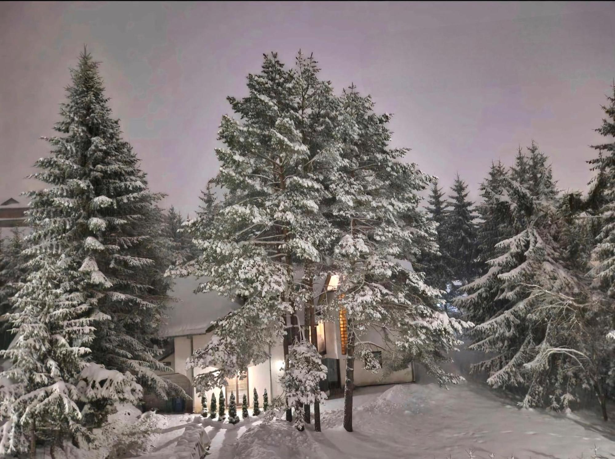 Silver Star Златибор Экстерьер фото